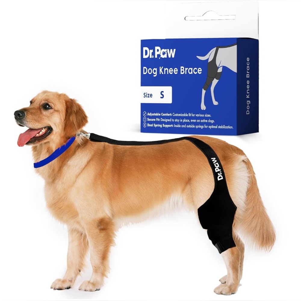 Dr. Paw Black Dog Knee Brace Torn ACL Hind Leg Small NEW